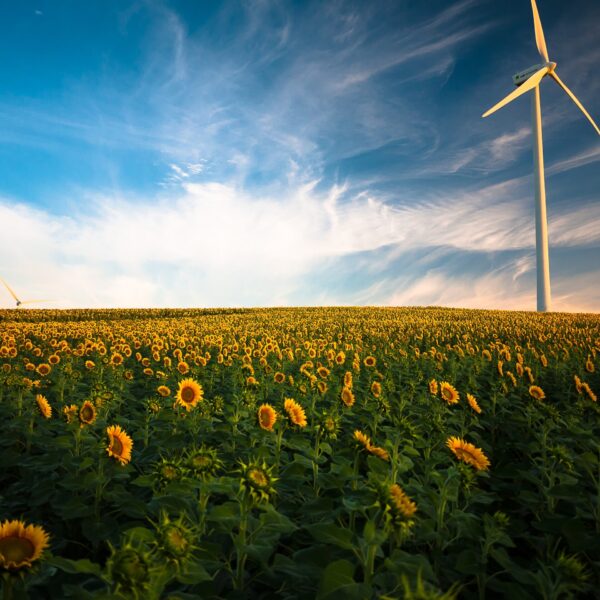 Double Glazing Installers and Climate Change: Making a Sustainable Impact
